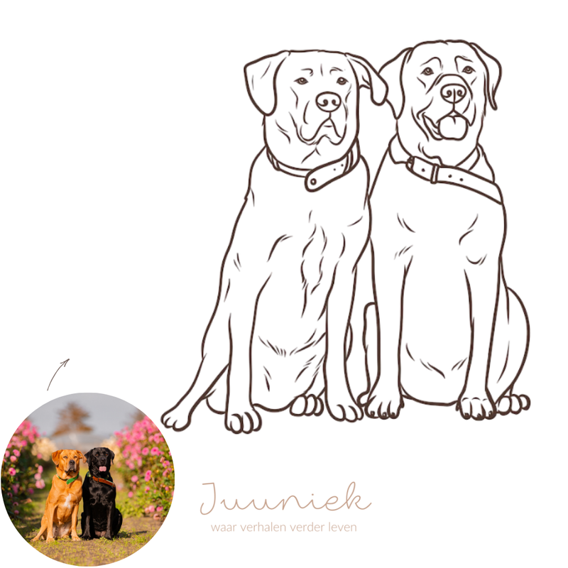 Digitale lijntekening, voorbeeld 2